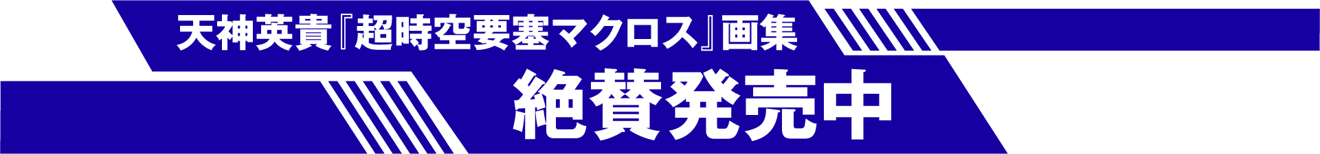 A4版ソフトカバー