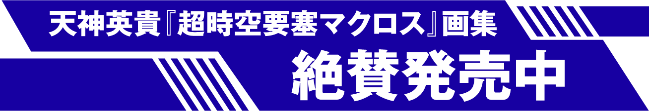 A4版ソフトカバー